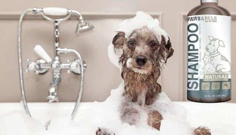 Natural Dog-Shampoo And Conditioner