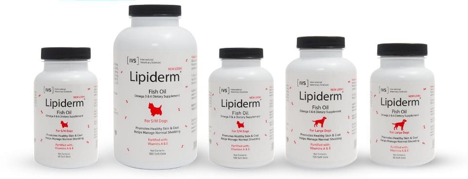 lipiderm-fish-oil