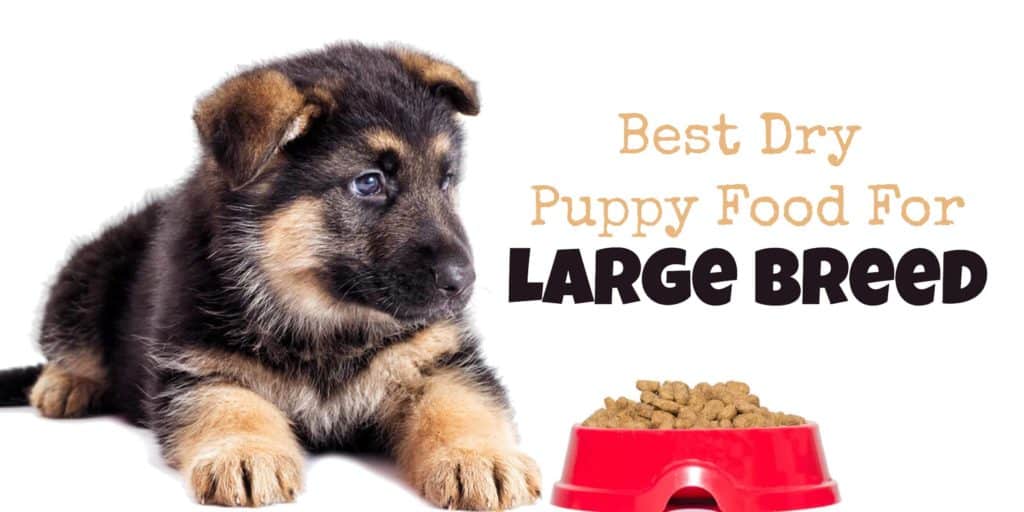 best dog foods for large breed puppies