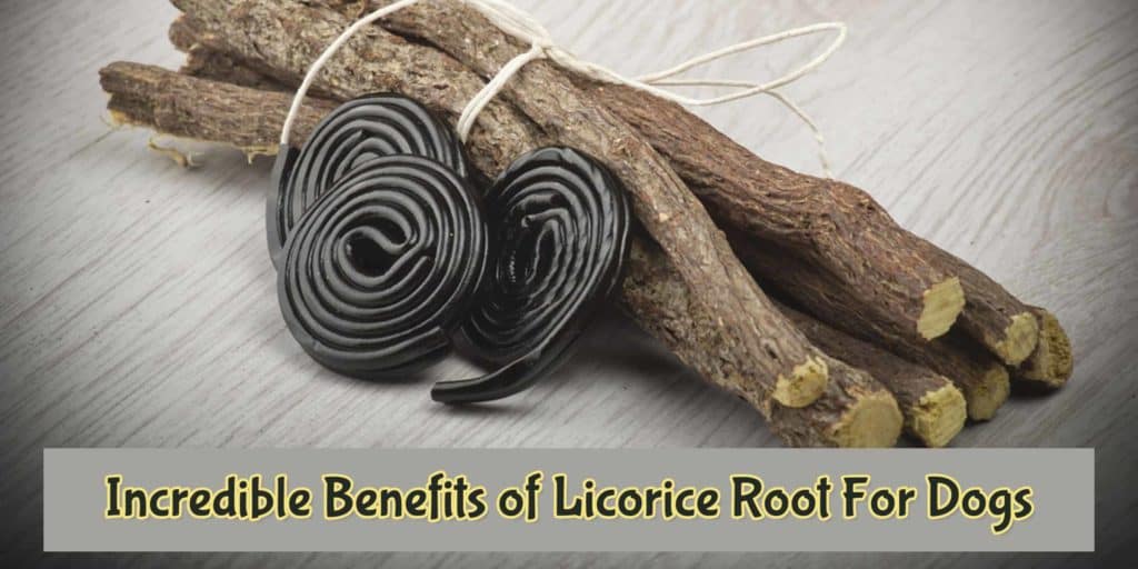 benefit of licorice root for dog