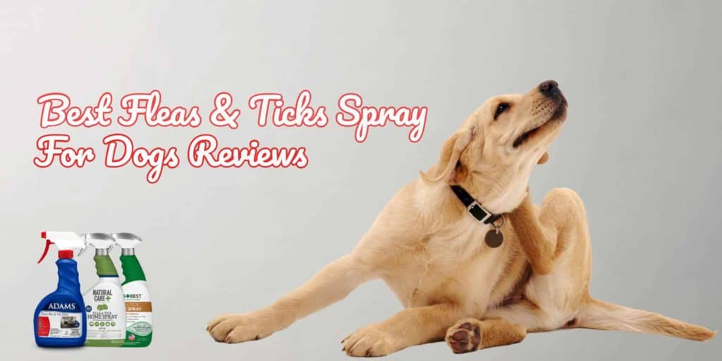 best-fleas-and-ticks-sprays-for-dogs