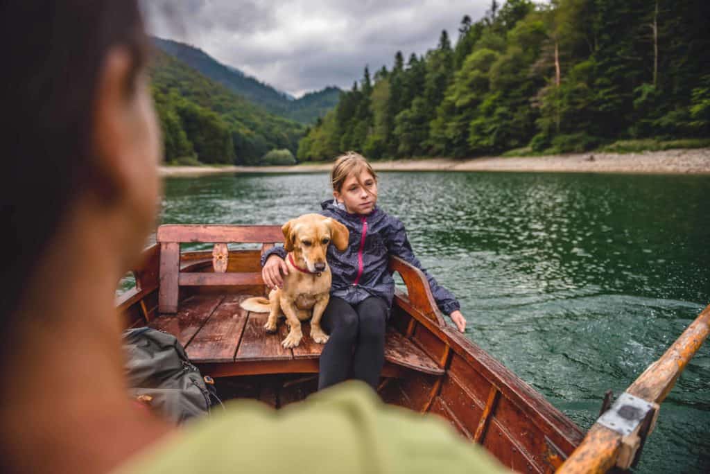 dog-rowing-boat