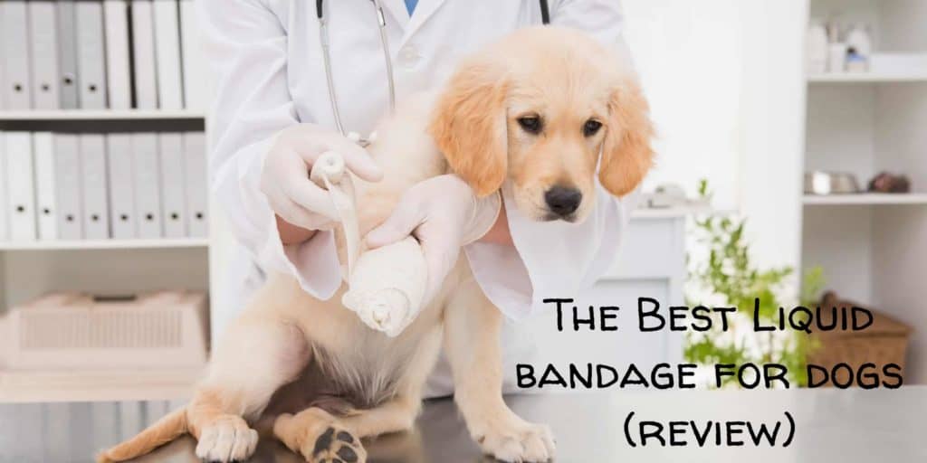 new skin liquid bandage for dogs