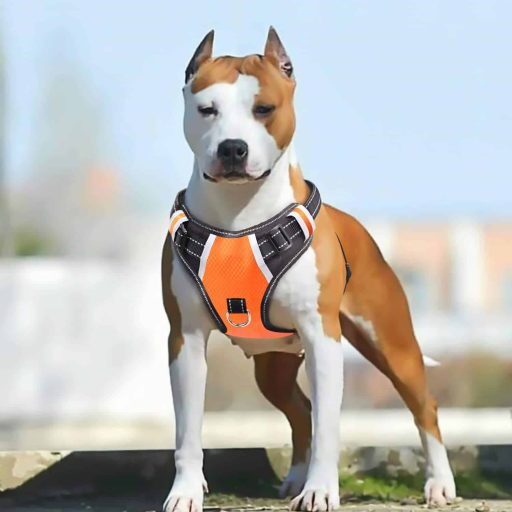 Reflective Oxford Soft Vest for Large Dogs