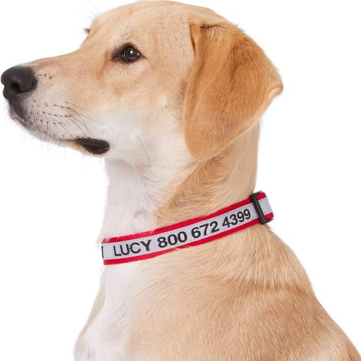 GoTags Reflective Personalized Dog Collar